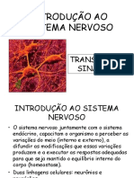 INTRODUÇÃO Ao SISTEMA NERVOSO - Fisiologia