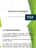 DERECHOS - HUMANOS - 1 - .PPT (Autoguardado)