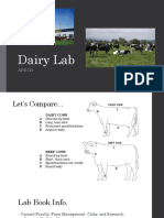 Dairy Lab