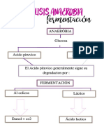 Consulta Previa