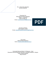 Pre Informes - Quimica Ambiental - Kelex Mauricio Suarez