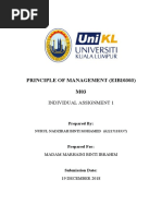 Principle of Management (Eib10303) M03: Individual Assignment 1