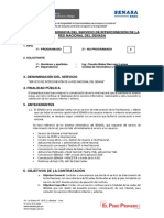 TDR Servicio de Interconexión de Red Nacional de Senasa OFICIAL PDF