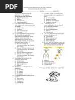 Evaluacion 8 Primer Periodogametogenesis 2