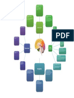 Mapa Mental Con Las Estructuras Del Cerebro y Sus Funciones en El Aprendizaje