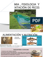 Nutricion de Peces y Caninos