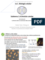 1 - 06 - División Celular