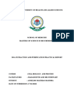 Dna Purification and Extraction Practical Report