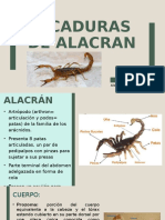 Picaduras de Alacran