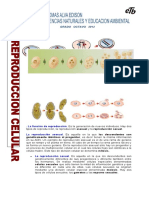 Taller de Repaso Grado 8