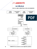 Ciencia y Ambiente y Personal Social