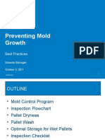 Preventing Mold Growth: Best Practices