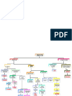 Fruit Types Dichotomous Key