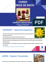 Catálogo 38 Florais PDF