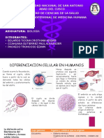 Diferenciacion Celular
