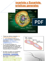 Célula Procariota y Eucariota