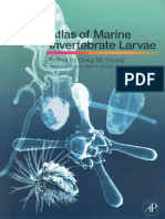 Atlas of Marine Invertebrate Larvae PDF