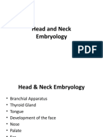 Pharyngeal Arches