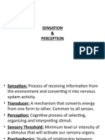 Sensation Perception