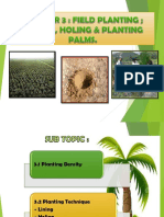 C3 Field Planting PDF