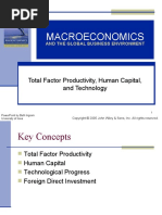 Macroeconomics: Total Factor Productivity, Human Capital, and Technology