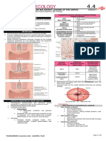 GYNE 4.08 Benign and Malignant Lesions of The Cervix