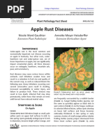 Apple Rust Diseases