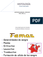 Tejido Sanguineo PDF