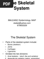 The Skeletal System