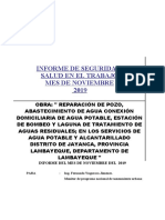 Informe Noviembre Supervision de Seguridad