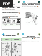 Guia de Ciencias Naturales 1 y 2 Sistema Locomotor