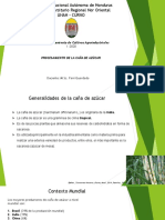 Procesamiento de La Caña de Azúcar-Completo para Examen PDF