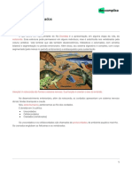 Animalia - Cordados-Apostila PDF