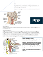 Head and Neck