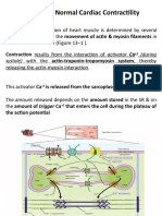 Control of Normal Cardiac Contractility: Contraction Results From The Interaction of Activator Ca