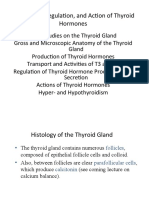 Production, Regulation, and Action of Thyroid Hormones