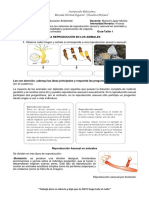 Ciencias Naturales - Octavo-Guía1