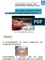 PotencialCarnesSalgadas FlodoaldoAlencar PDF