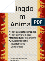 Kingdo M Animali A