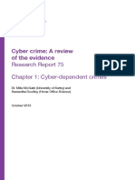 Cyber Crime: A Review of The Evidence: Research Report 75 Chapter 1: Cyber-Dependent Crimes