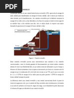 Centrales Reversibles