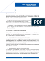 Preguntas Precuentes PDF