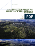 T2 Agroforestería Definición Tipos Beneficios PDF