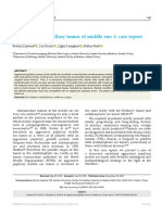 An Aggressive Papillary Tumor of Middle Ear: A Case Report