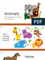 2o Primaria - Animals - 2003