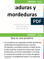 FISIOTERAPIA Moderduras y Picaduras