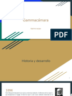 Gammacámara PDF