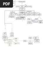 Preeclampsia Eclampsia Pathophy