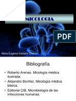 2) Hongos-Generalidades y Antimicã Ticos PDF