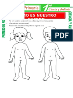 Como Es Nuestro Cuerpo para Primero de Primaria